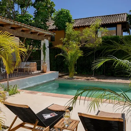 Jasmines The Perfect For Relaxation And Chilling