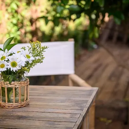 Jasmines The Perfect For Relaxation And Chilling Villa *