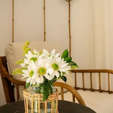 Jasmines The Perfect For Relaxation And Chilling *