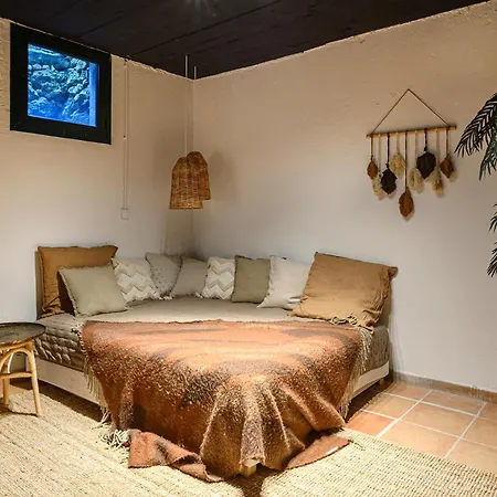 Jasmines The Perfect For Relaxation And Chilling Estepona